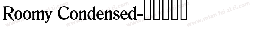 Roomy Condensed字体转换